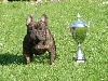  - ORKO CACS MDR Meilleur chien du Groupe 9